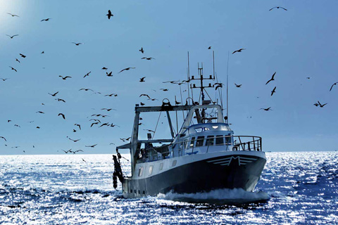 BOLLFILTER onbaord wellboats