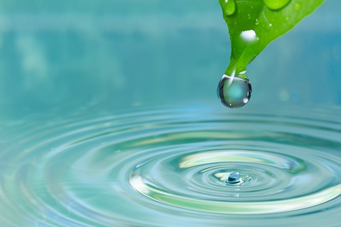 Drop of water on a leaf